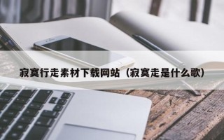 偃师寂寞行走素材下载网站（寂寞走是什么歌）